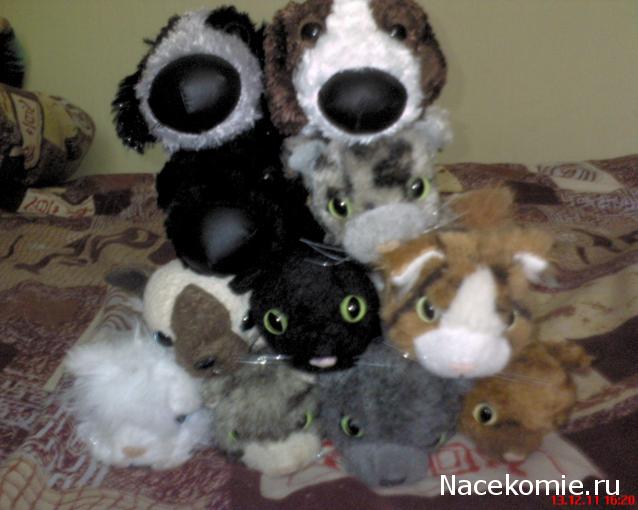 The Cat Collection График Выхода, обсуждение серии