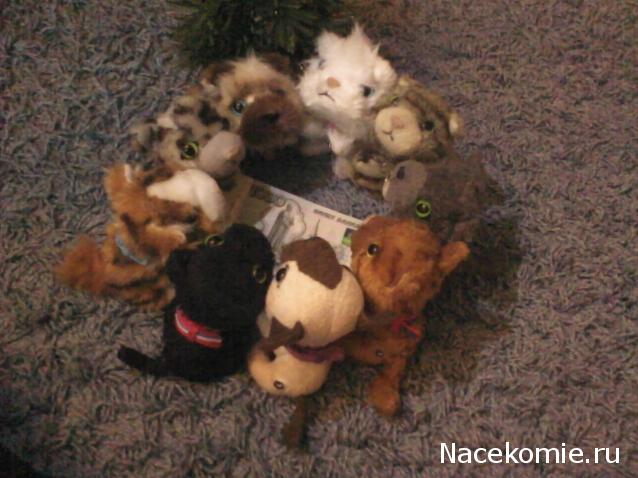 The Cat Collection График Выхода, обсуждение серии