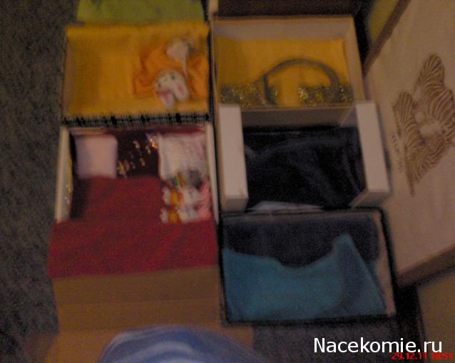 The Cat Collection График Выхода, обсуждение серии