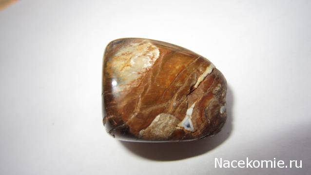 Энергия камней № 49 Древесный опал (окатанный камень) фото, обсуждение