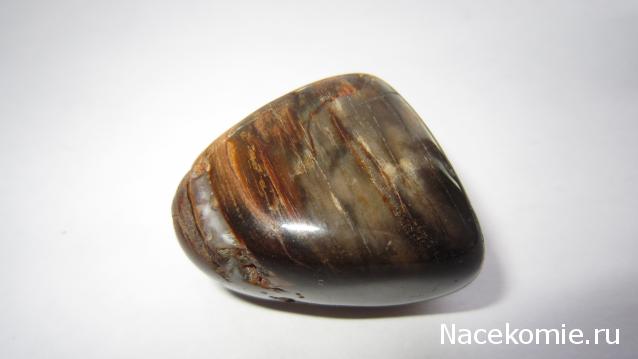 Энергия камней № 49 Древесный опал (окатанный камень) фото, обсуждение