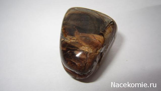 Энергия камней № 49 Древесный опал (окатанный камень) фото, обсуждение