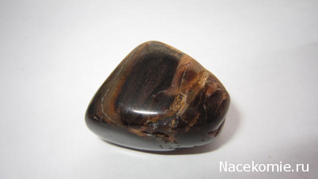 Энергия камней № 49 Древесный опал (окатанный камень) фото, обсуждение