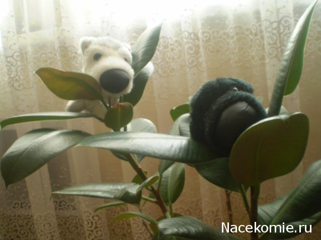 The Dog Collection 2010 - График Выхода и обсуждение