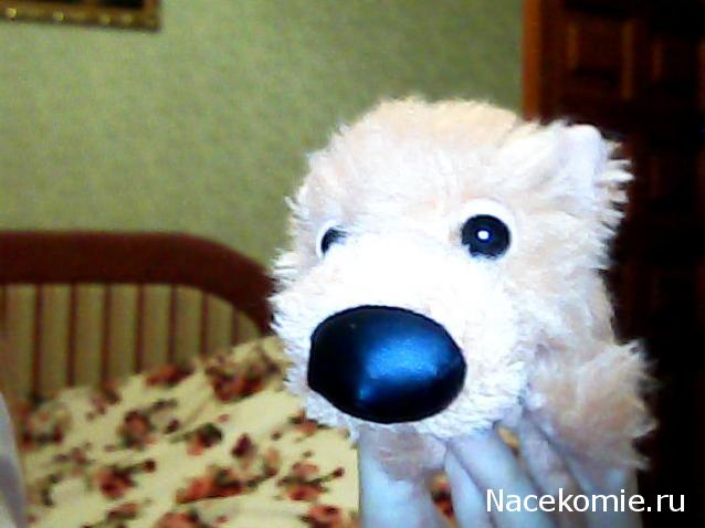 The Dog Collection 2010 - График Выхода и обсуждение