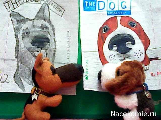 The Dog Collection 2010 - График Выхода и обсуждение