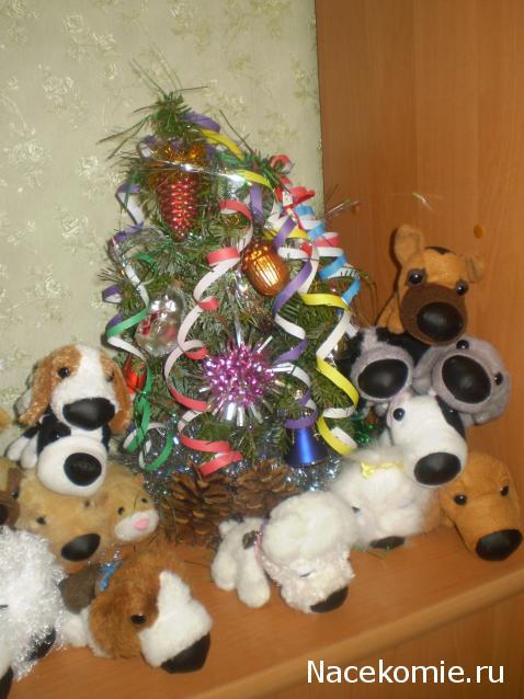 The Dog Collection 2010 - График Выхода и обсуждение