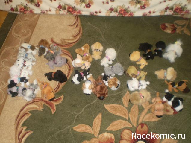 The Dog Collection 2010 - График Выхода и обсуждение