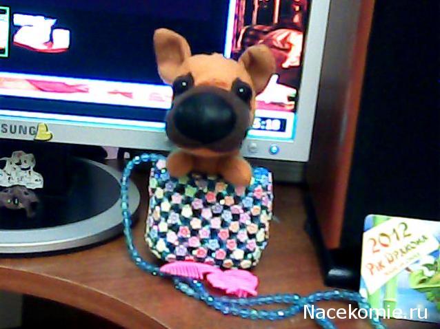 The Dog Collection 2010 - График Выхода и обсуждение