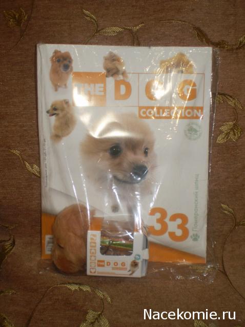 The Dog Collection 2010 - График Выхода и обсуждение
