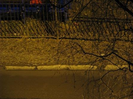 С Новым Годом! Рождеством!