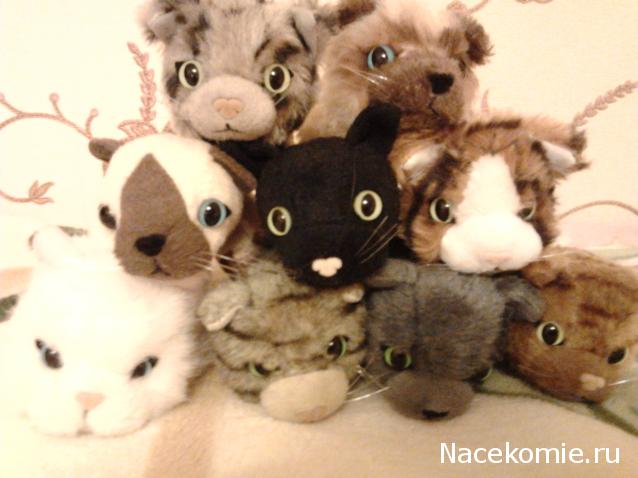 The Cat Collection График Выхода, обсуждение серии