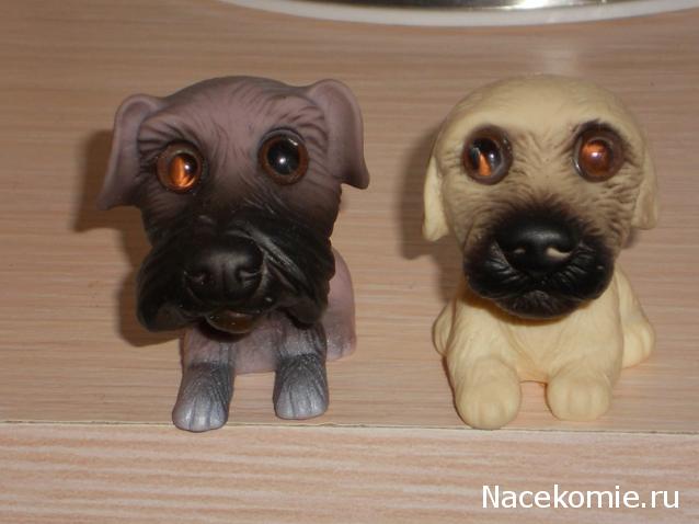 The Dog Collection 2010 - График Выхода и обсуждение