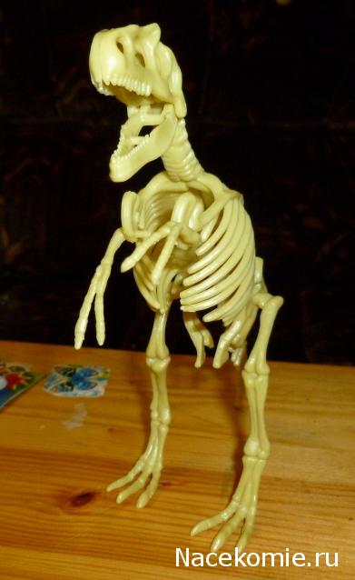 Мир Динозавров журнал (сборная модель Тираннозавра)