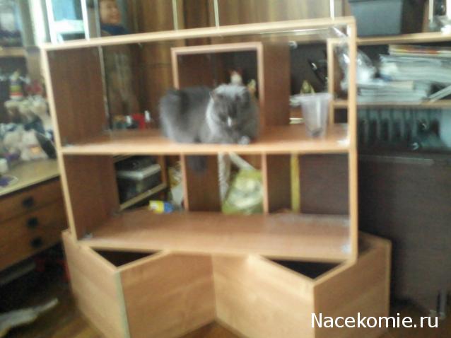 AMG Mercedes C-Class DTM - График выхода, Обсуждение