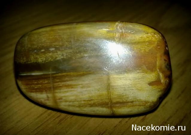 Энергия камней № 49 Древесный опал (окатанный камень) фото, обсуждение