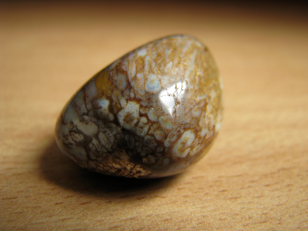 Энергия камней № 49 Древесный опал (окатанный камень) фото, обсуждение