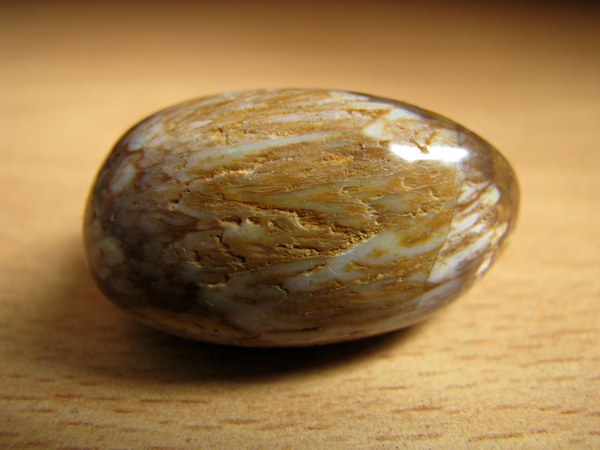 Энергия камней № 49 Древесный опал (окатанный камень) фото, обсуждение