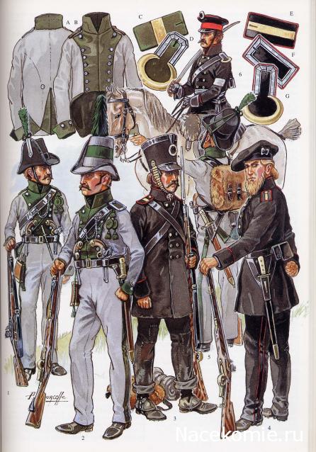 Наполеоновские Войны - График выхода и обсуждение