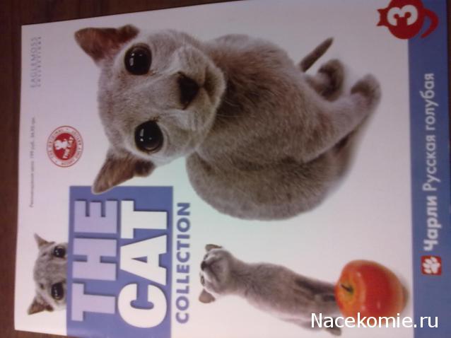 The Cat Collection № 3 Русская голубая Фото