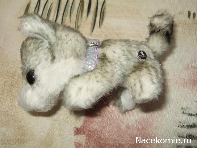 The Cat Collection №12 Бурмилла Фото