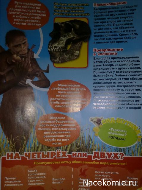 "Ледниковый период. Коллекция животных" Журнал с игрушкой