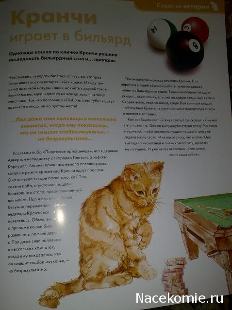 The Cat Collection №12 Бурмилла Фото