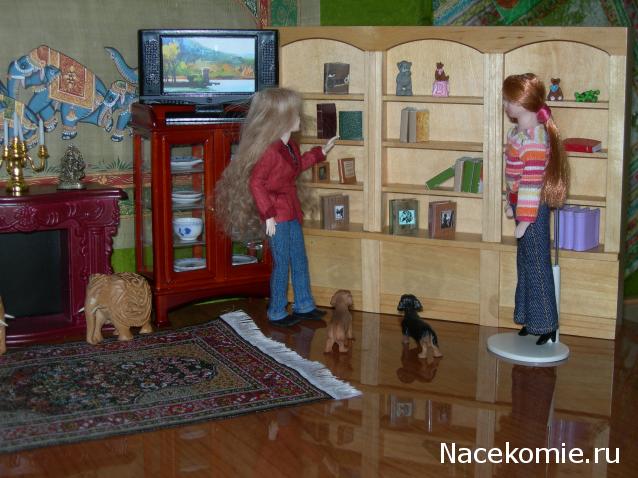 Дом Мечты. Купономания и хранение коллекции