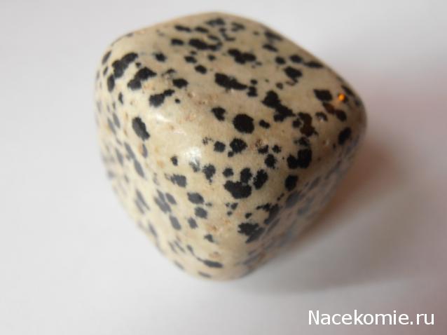 Энергия камней №22 Далматин (Диорит) ( Окатанный камень ) фото, обсуждение