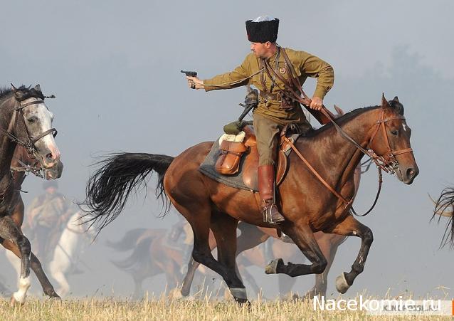Танкодром (Общая Болталка танковых разделов)