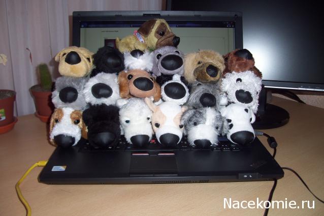 The Dog Collection Болталка