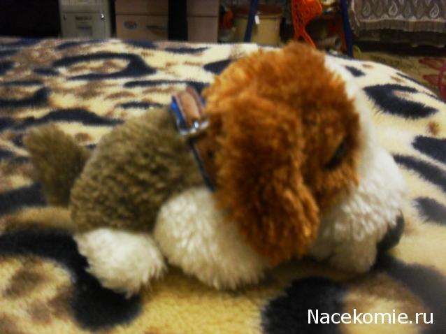 The Dog Collection №22 Бигль