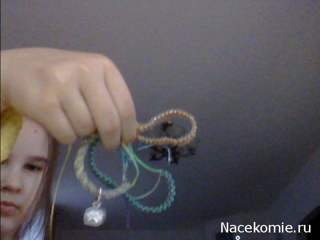 The Dog Collection Болталка