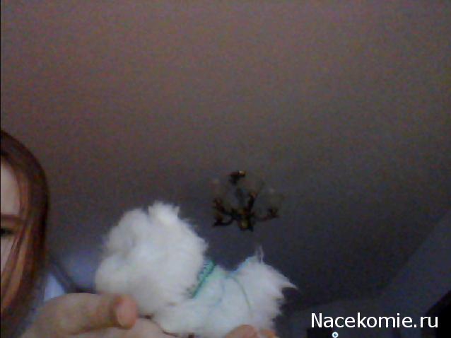 The Dog Collection Болталка