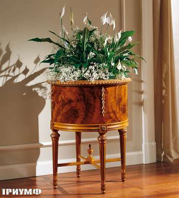 Дом Мечты №19 Два стула