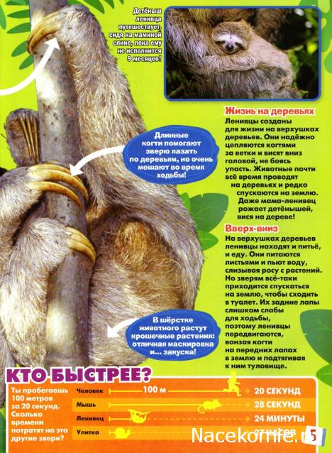 "Ледниковый период. Коллекция животных" Журнал с игрушкой