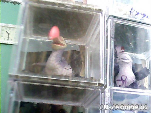 "Ледниковый период. Коллекция животных" Журнал с игрушкой