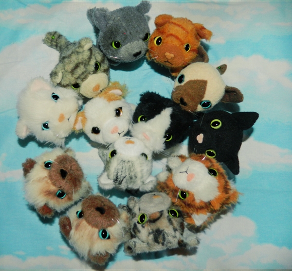 The Cat Collection №12 Бурмилла Фото