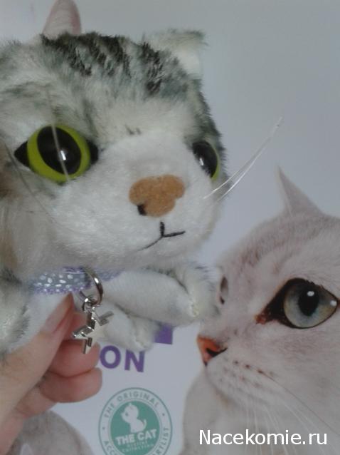 The Cat Collection №12 Бурмилла Фото