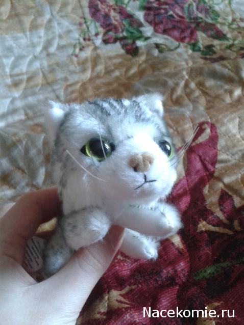 The Cat Collection №12 Бурмилла Фото