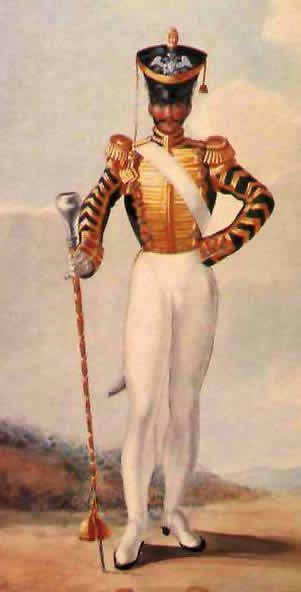 Наполеоновские войны № 13. Тамбурмажор полка пеших егерей Старой гвардии, 1808-1810 гг.