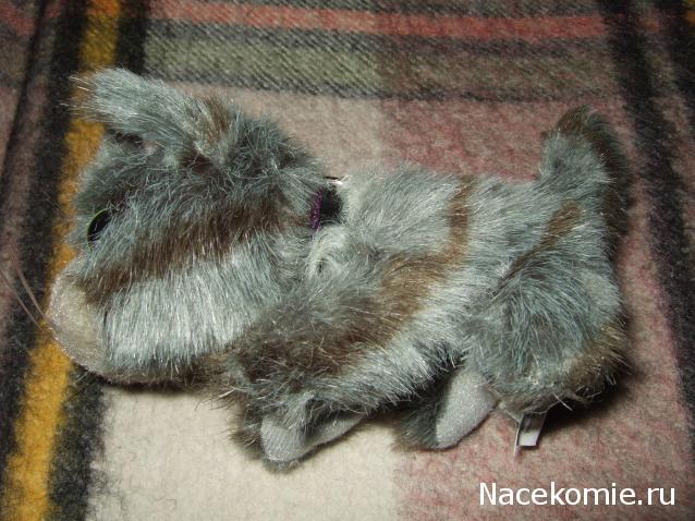 The Cat Collection №13 Норвежский лесной кот Фото