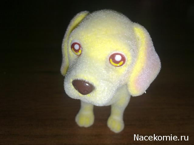 The Dog Collection Болталка