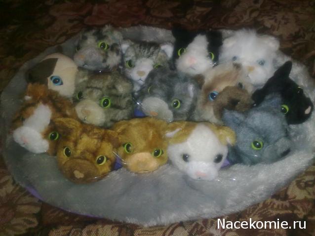 Кошкин дом. Болталка The Cat Collection