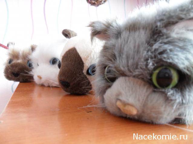 The Cat Collection №13 Норвежский лесной кот Фото