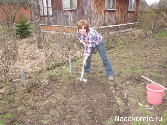 Дом Мечты. Болталка 2 или... будем знакомы