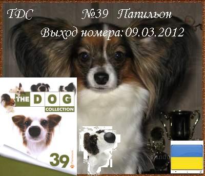 The Dog Collection №39 Папильон