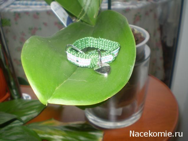 The Dog Collection №39 Папильон