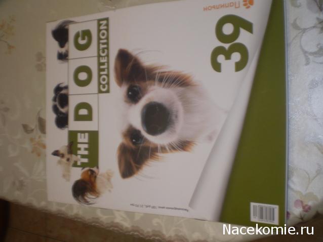 The Dog Collection №39 Папильон