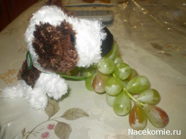 The Dog Collection №39 Папильон